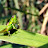 DSCF9434.JPG
