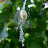 DSCF9550.JPG