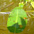 DSCF9652.JPG