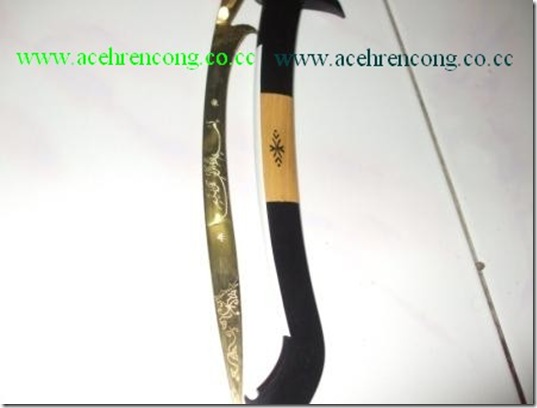 RENCONG3