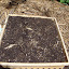 Mixed Grassland Seeds including Wallaby grasses - Austrodanthonia spp.  