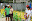 Imagem 099.jpg