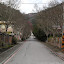 SDC12436.JPG