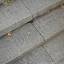 SDC12521.JPG
