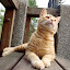 IMGP1328.JPG