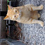 IMGP1377.JPG