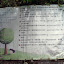 IMGP5931.JPG