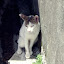 IMGP5991.JPG
