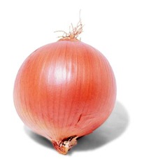 Cebolla Cebolla
