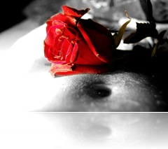 rosa_roja_by_ruthpimpi