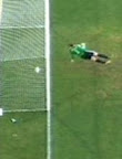 Disallowed Goal