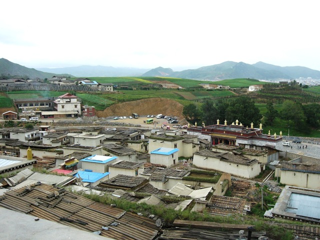 [P1080433[4].jpg]
