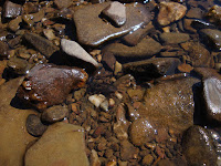 DSC08962.JPG