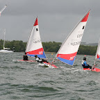 IMG_4545.JPG