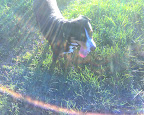 Photo_100406_003.jpg