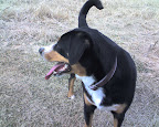img015.jpg