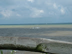DSCF1018.JPG