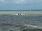 DSCF1019.JPG