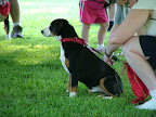 DSCF1022.JPG