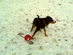 IMAGE_012.jpg