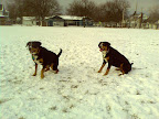 IMAGE_003.jpg