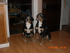CIMG0016-1.JPG
