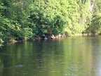CIMG0101.JPG