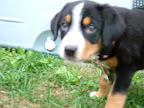 DSCF0495.JPG