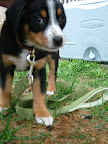 DSCF0496.JPG