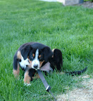 DSCF0512.JPG