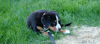DSCF0513.JPG