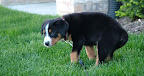 DSCF0522.JPG