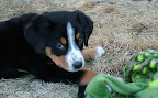 DSCF0527.JPG