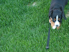 DSCF0530.JPG
