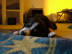DSCF0544.JPG