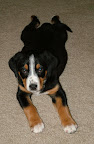 DSCF0550.JPG