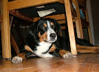 DSCF1421.JPG