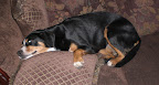 CIMG0088.JPG