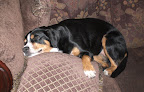 CIMG0090.JPG