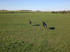 CIMG0040.JPG