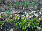 DSCF1570.JPG