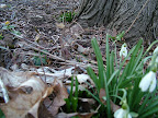 DSCF1574.JPG