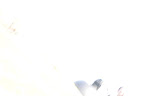 MRP_2596.JPG