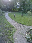 CIMG0138.jpg
