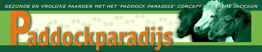 Paddockparadijs forum