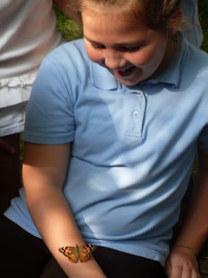 Releasing the Butterflies