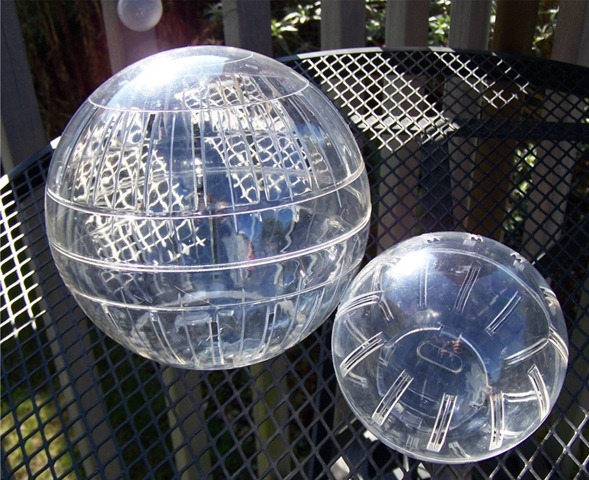 [excerciseballs5.jpg]