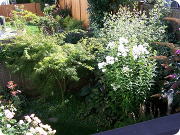 August 2010 (2)