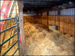 calf bed