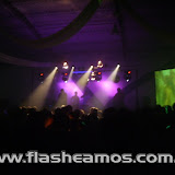 Fiesta primavera 2009_0008.JPG